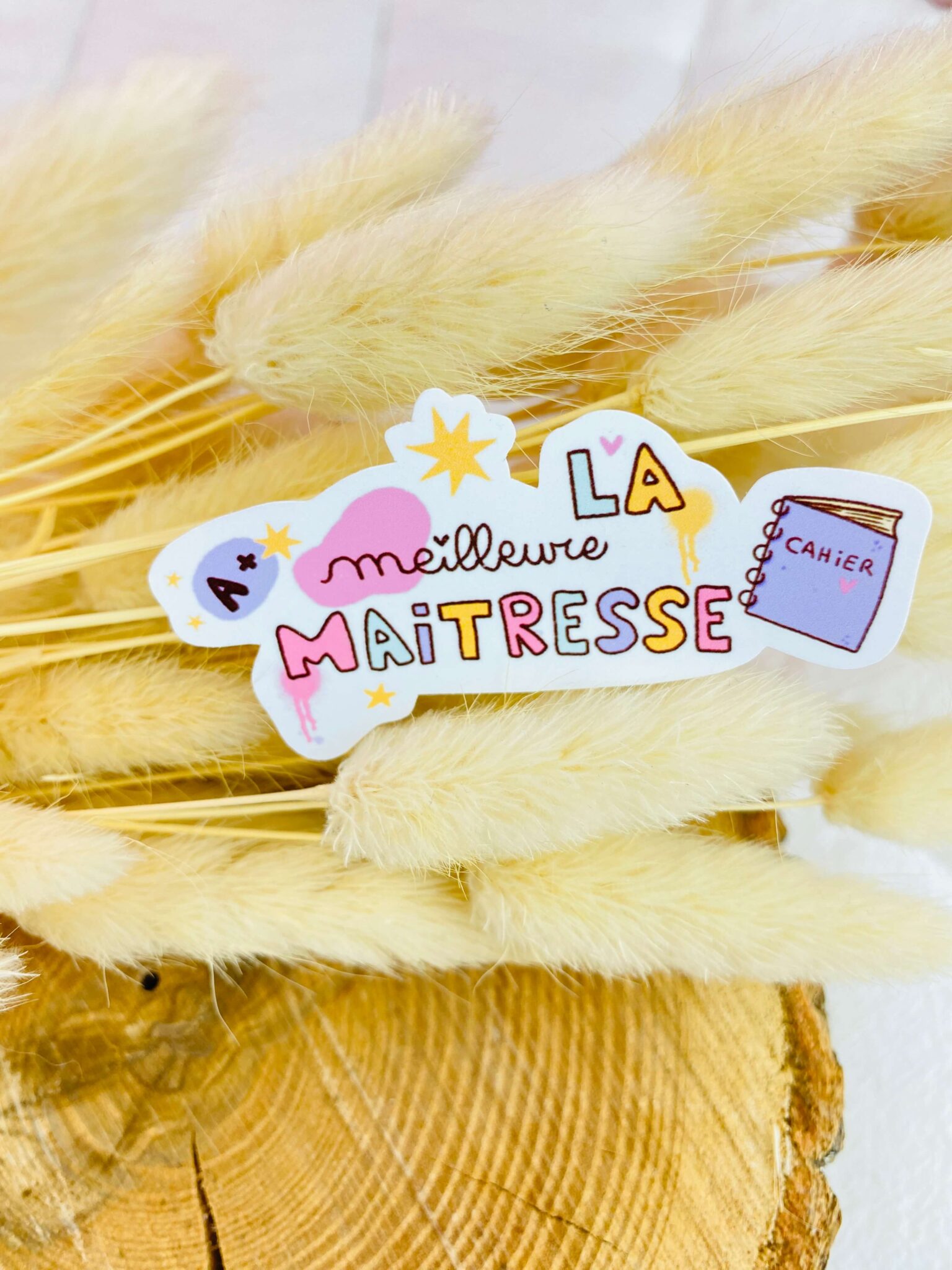 la meilleure maitresse, cadeau fin d'année scolaire la meilleure maitresse, cadeau fin d'année scolaire