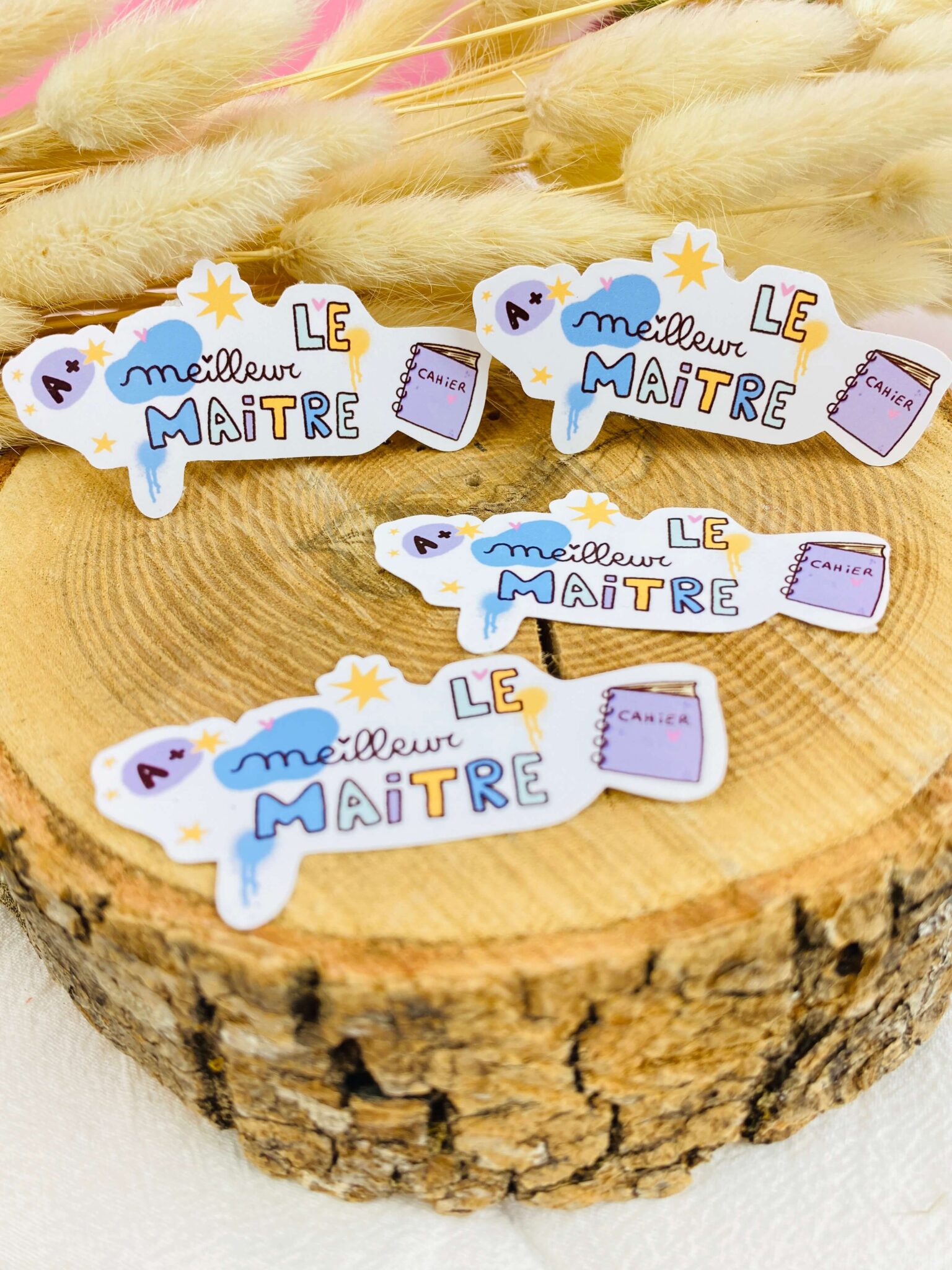 la meilleure maitre, cadeau fin d'année scolaire la meilleure maitre, cadeau fin d'année scolaire