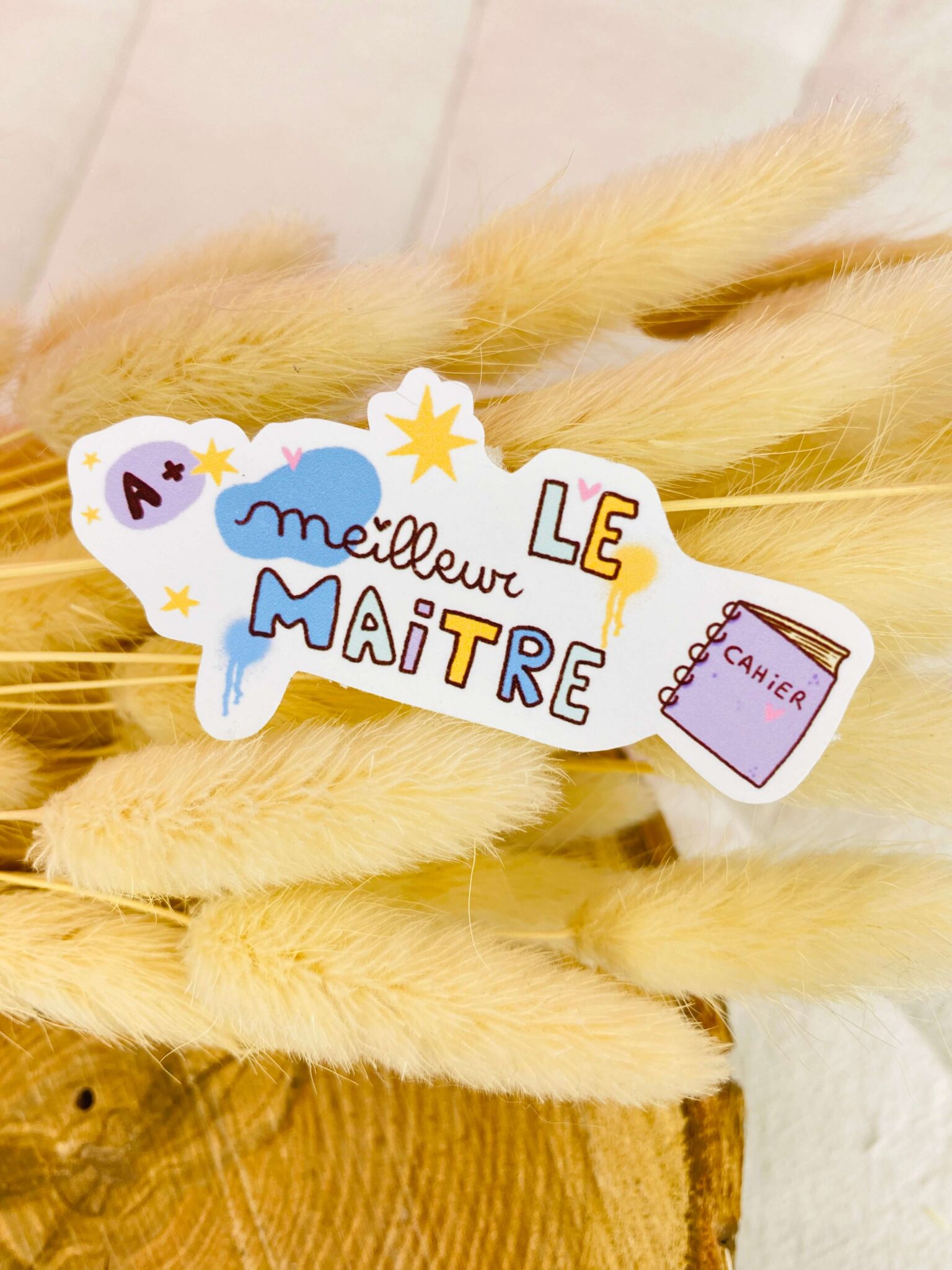 la meilleure maitre, cadeau fin d'année scolaire la meilleure maitre, cadeau fin d'année scolaire