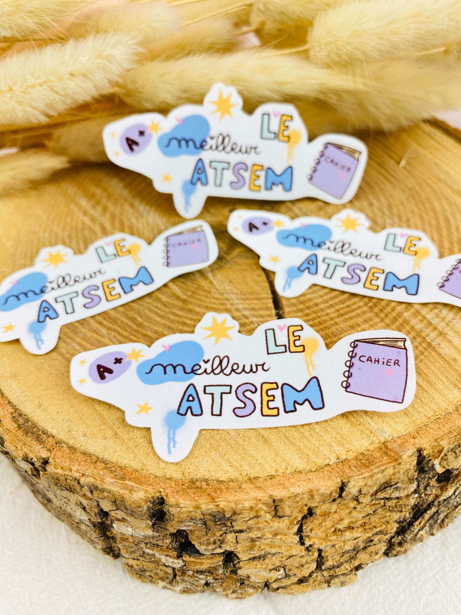 le meilleur atsem, cadeau fin d'année scolaire le meilleur atsem, cadeau fin d'année scolaire