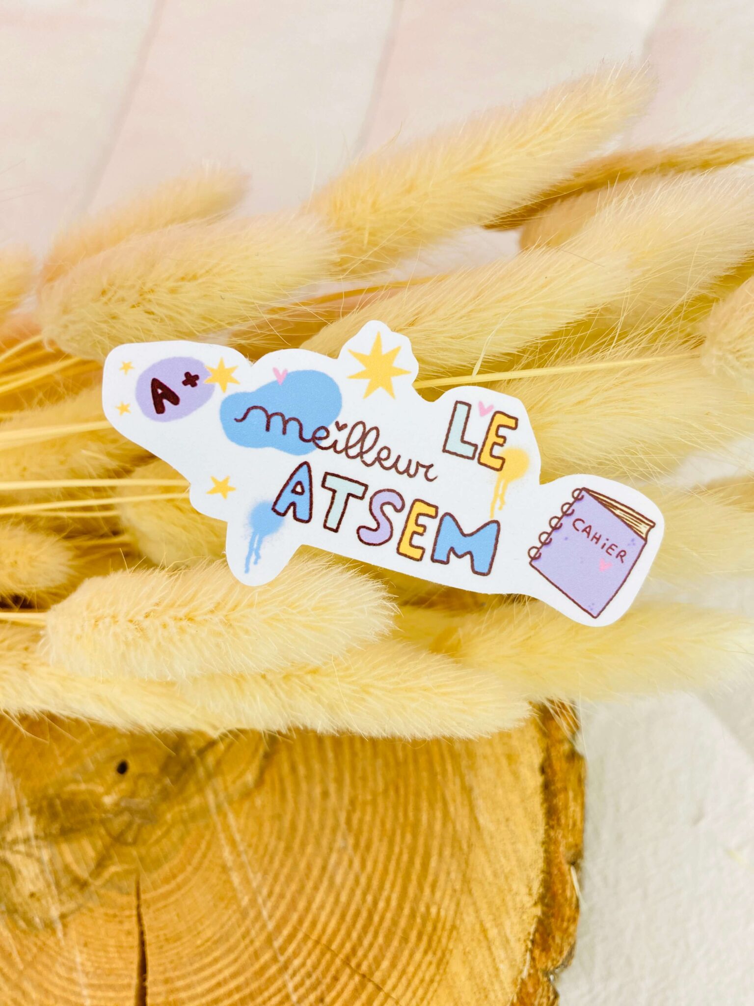 le meilleur atsem, cadeau fin d'année scolaire le meilleur atsem, cadeau fin d'année scolaire